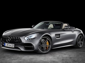 Фотографии Mercedes-Benz AMG GT родстер 2019 года